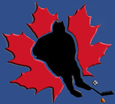 Canadian Ball Hockey Associataion